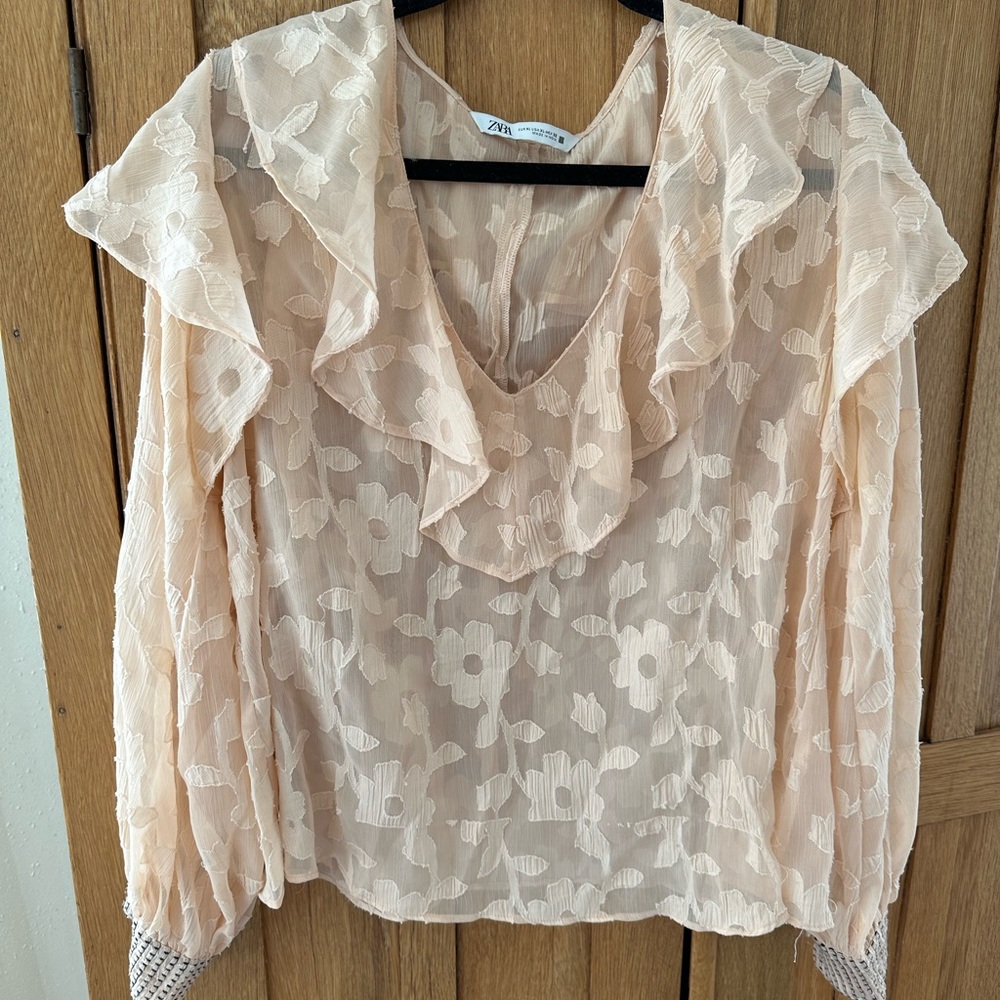 Sheer Pink Floral Zara Blouse, size XL
